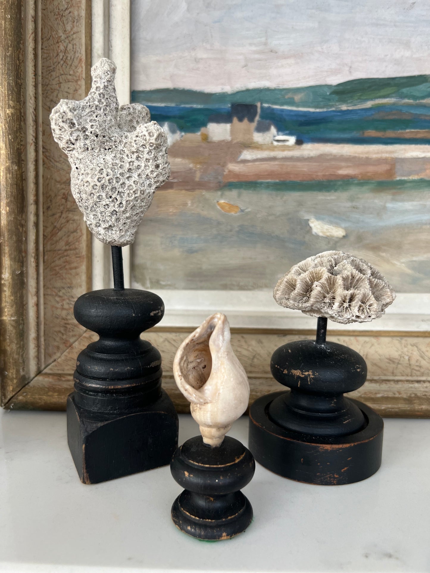 Collection Of 3 Mounted Antique Coral Specimens