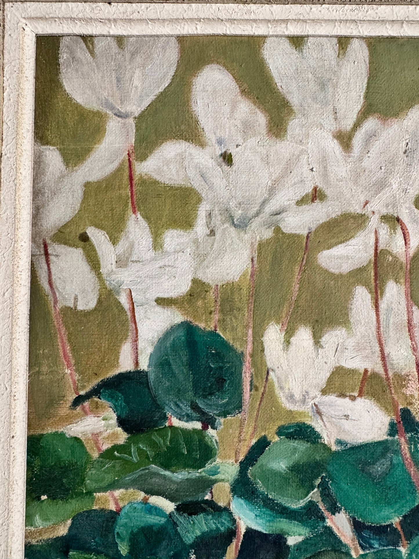 Vintage Mid Century Still Life 'Cyclamen'