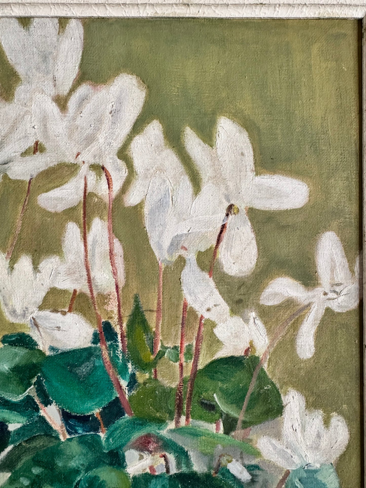 Vintage Mid Century Still Life 'Cyclamen'
