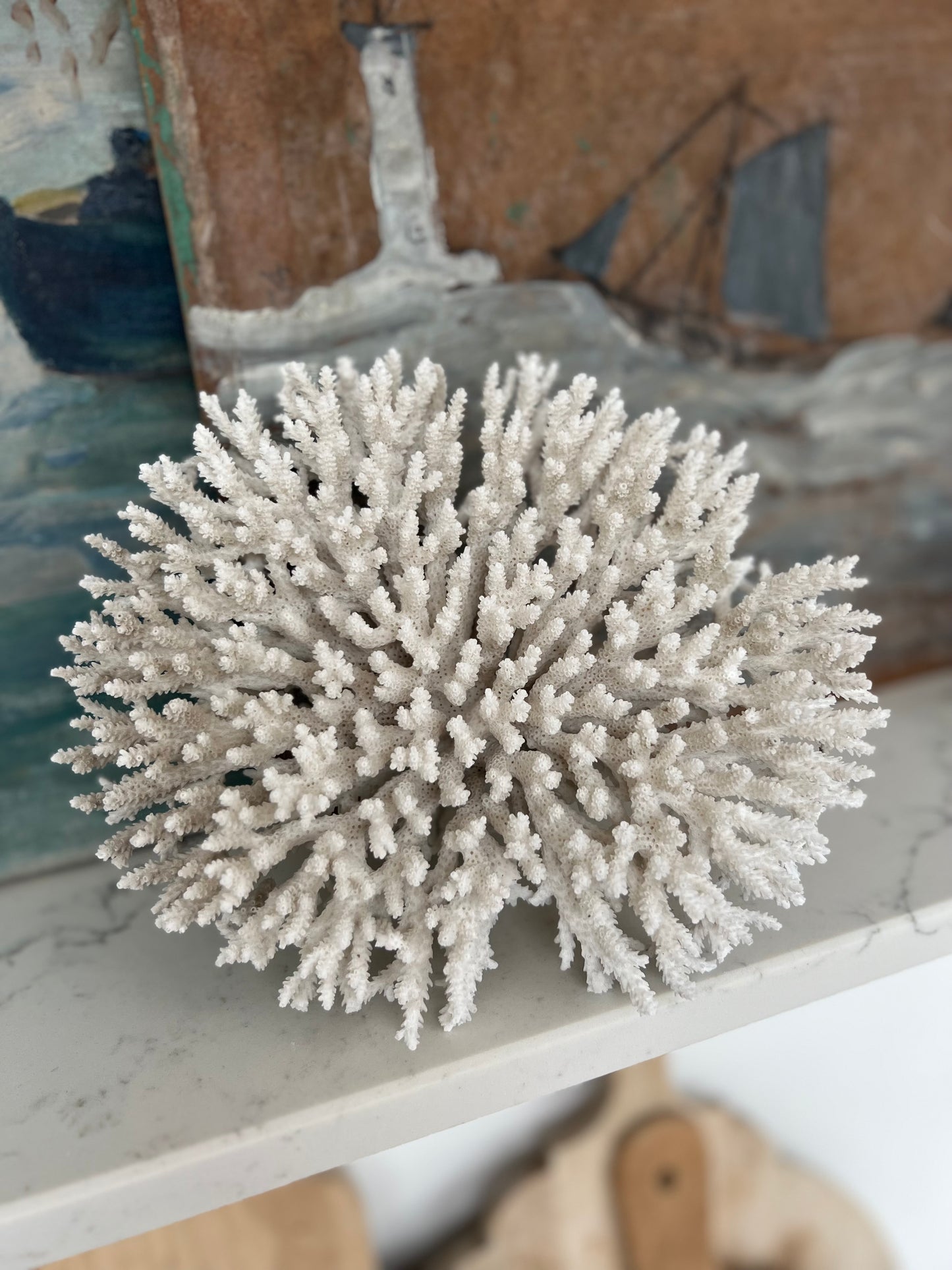 Stunning Large Antique Brush Coral Specimen