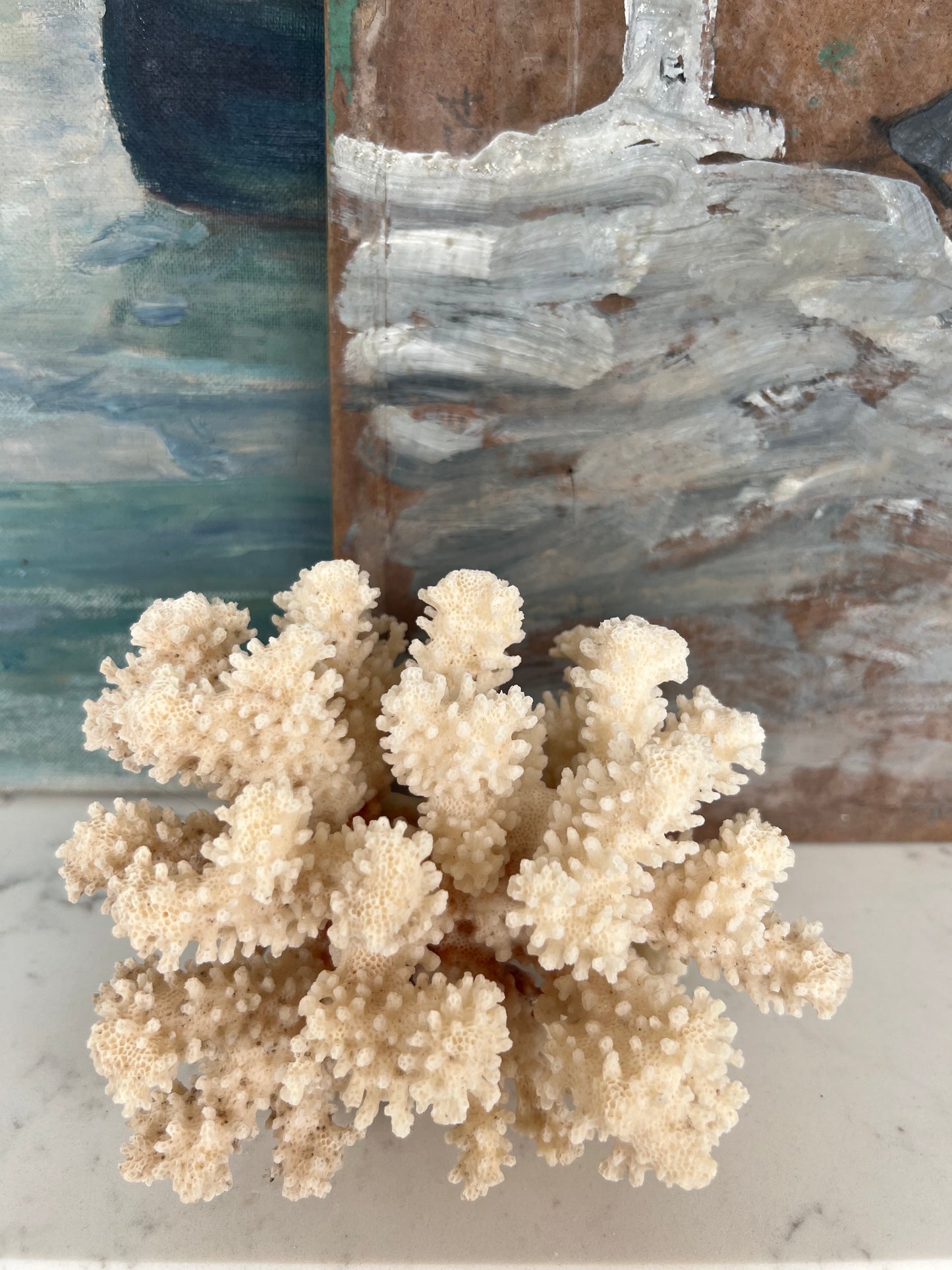 Antique Coral Specimen