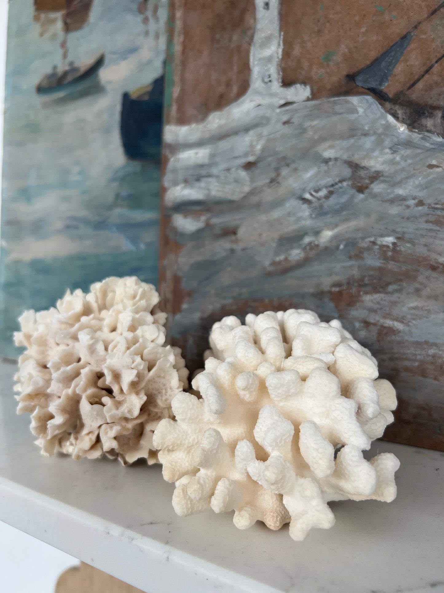 Pair Antique Coral Specimens