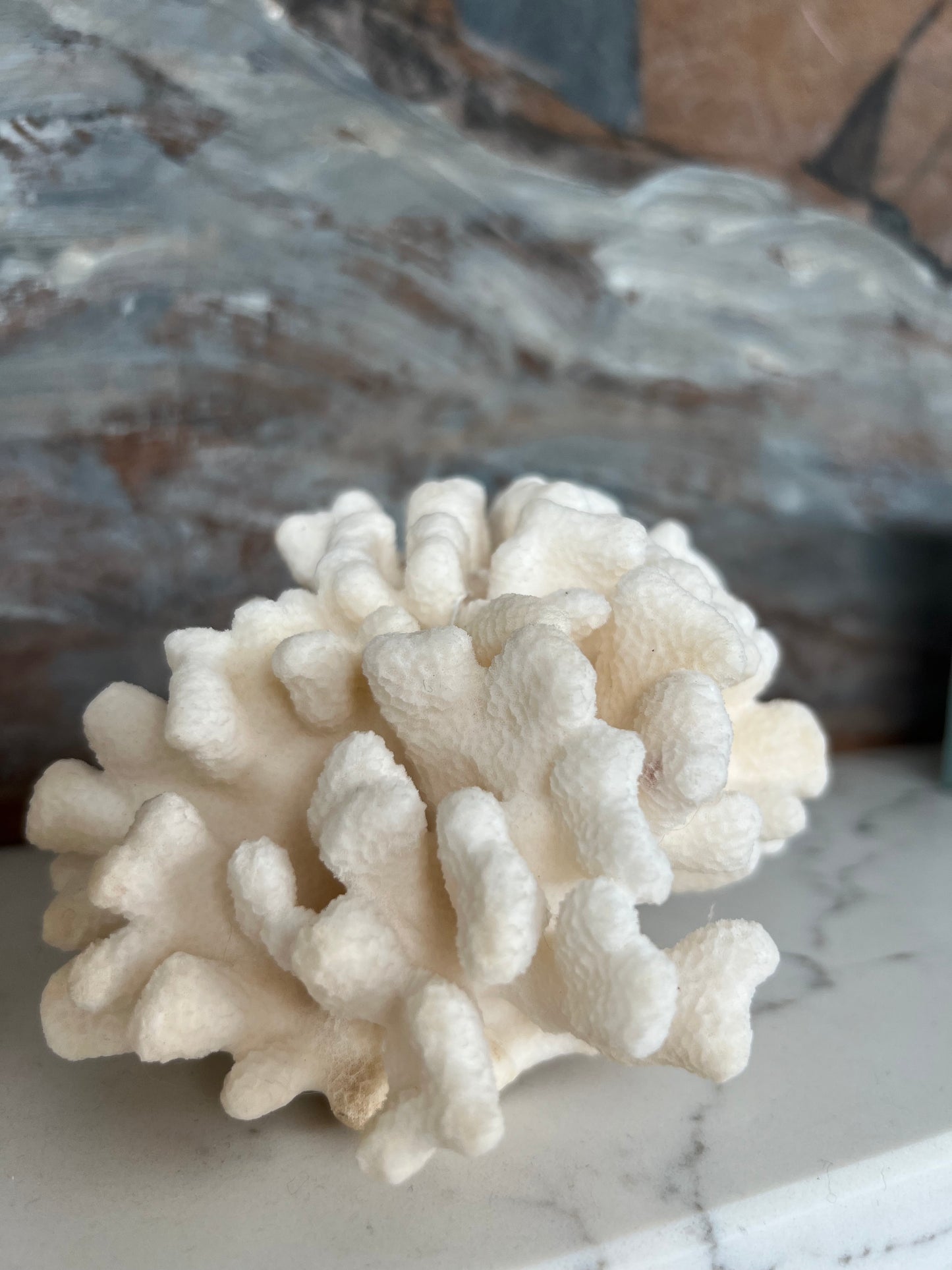 Pair Antique Coral Specimens