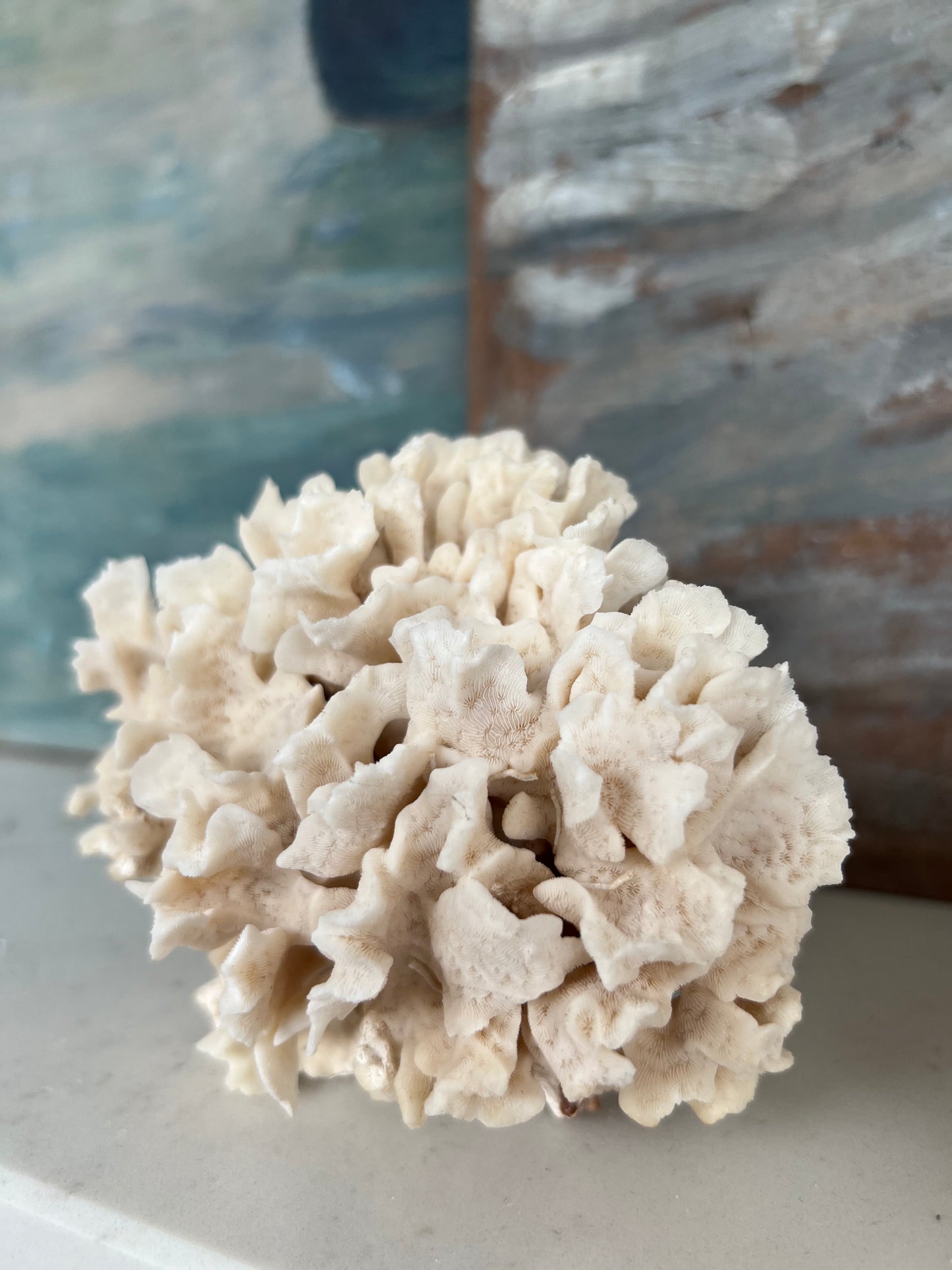 Pair Antique Coral Specimens