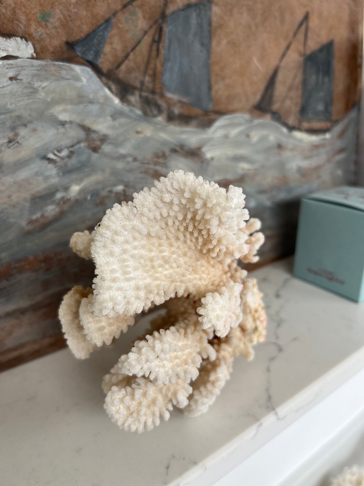 Antique Coral Specimen