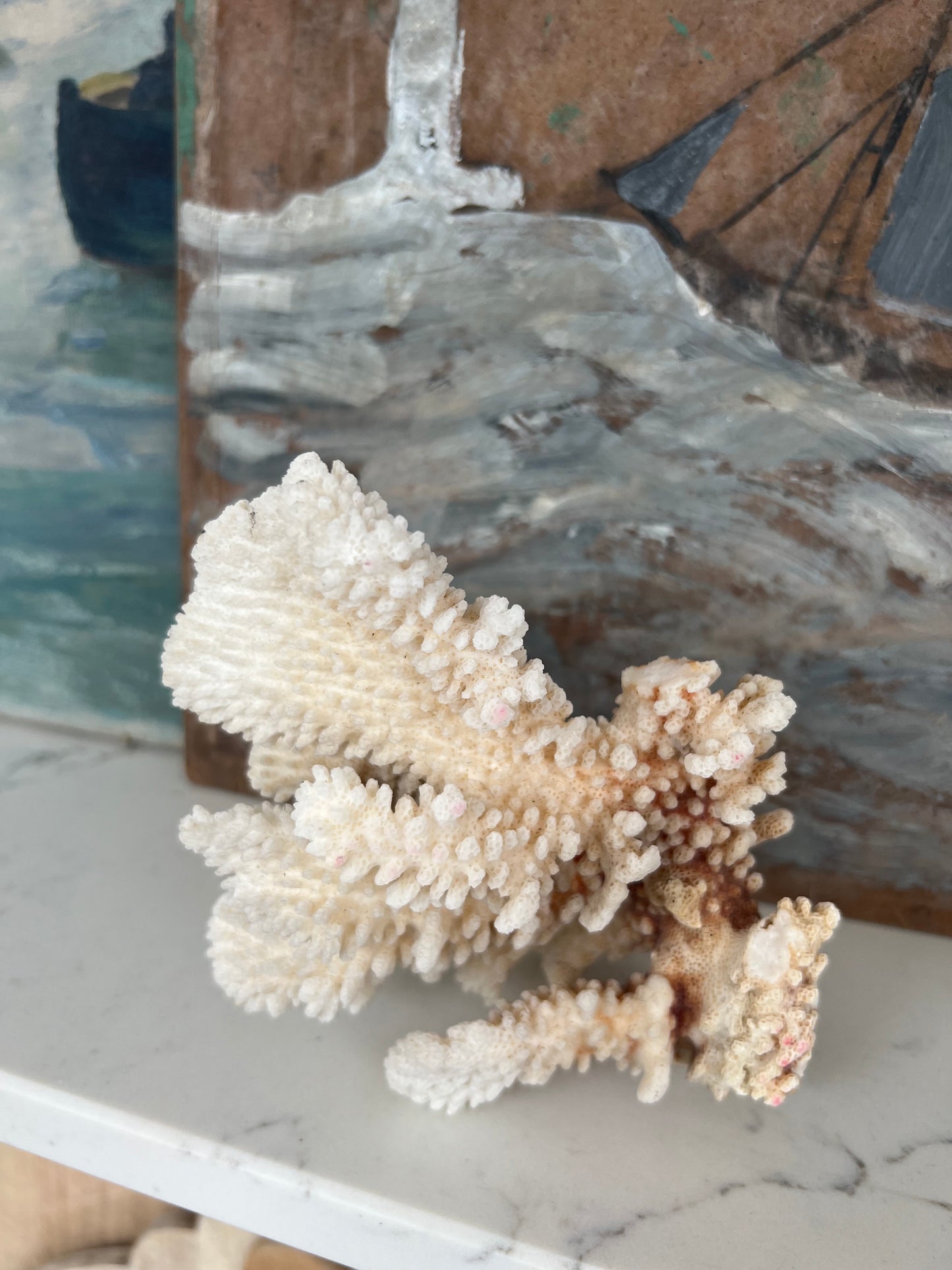 Antique Coral Specimen